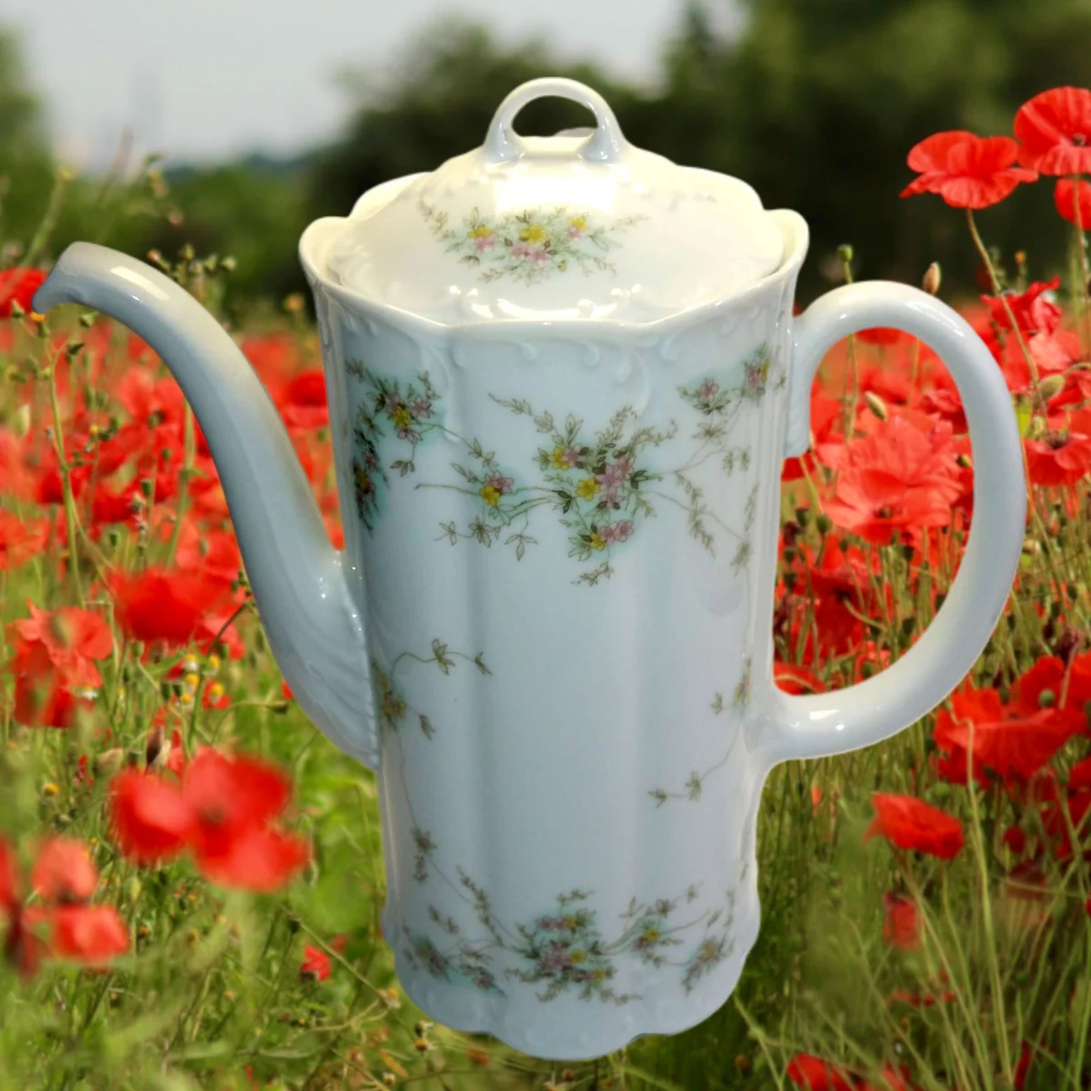 Rosenthal  Monbijou Grüne Ranke Kaffeekanne mit Deckel  H 26cm