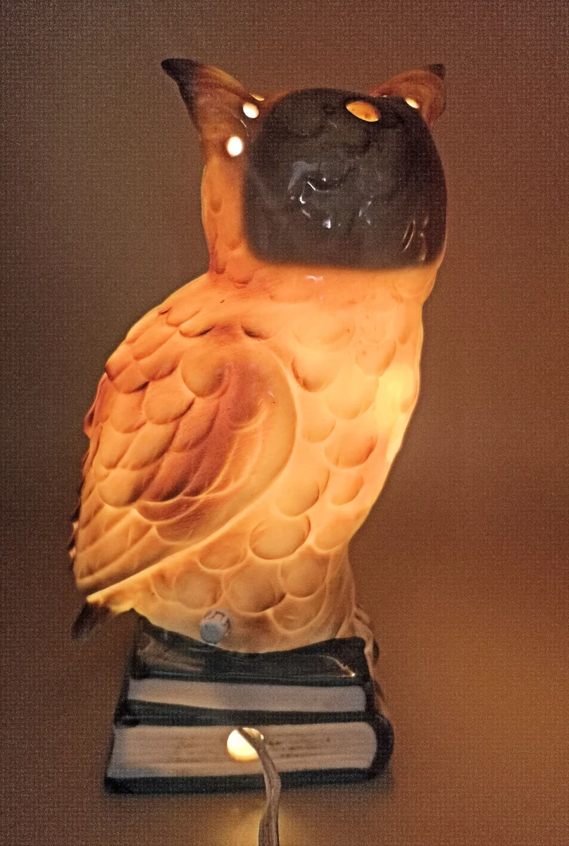Vintage Rauchverzehrer Eule auf Büchern – Porzellan-Tischlampe um 1960 mit Glasaugen